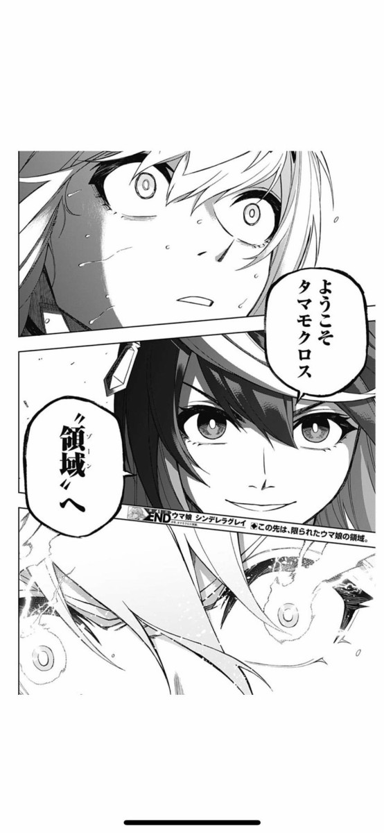ウマ娘 シンデレラグレイで登場した領域 ゾーン なんかよくわかんないけど格好いいからタマちゃんの固有これにしよう パカ娘速報 ウマ娘まとめブログ