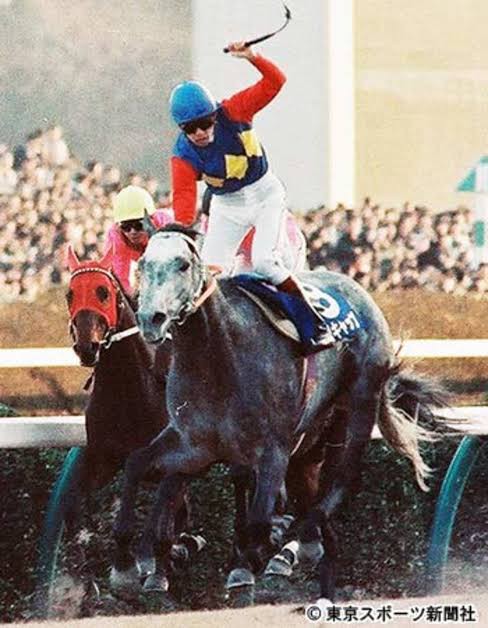 ウマ娘 オグすこおじさんによる厳選されたオグリキャップ画像と頭の なんだ あの あれの元ネタ話 パカ娘速報 ウマ娘まとめブログ