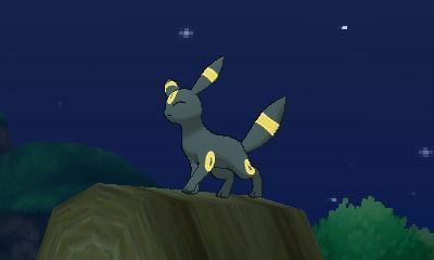 ポケファインダー ウルトラ ポケファインダー図鑑 パンダ