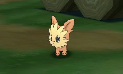 ポケファインダー ウルトラ ポケファインダー図鑑 パンダ