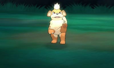 ポケファインダー 得点稼ぎ 全ポケモンの写真 パンダ ポケファインダー 得点稼ぎ 全ポケモンの写真 パンダ