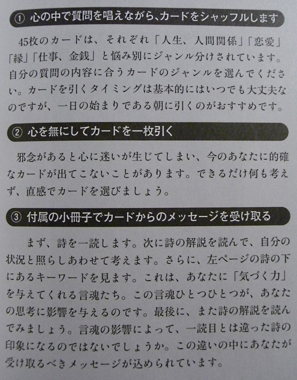 ヘビの神様木村藤子の 神様の言魂カード パンダroom2