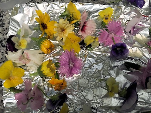 春の花で保存用砂糖漬けを作って スイーツ ナチュラリストpanipopoの美 食ラボ