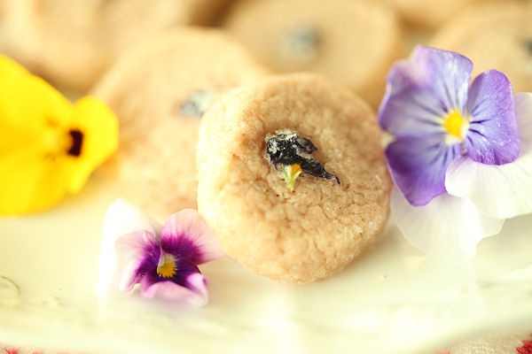 春の花で保存用砂糖漬けを作って スイーツ ナチュラリストpanipopoの美 食ラボ