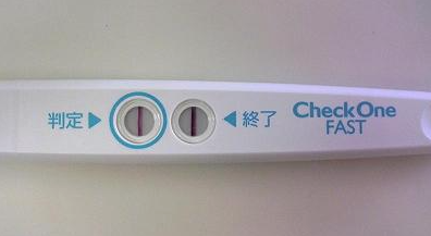 妊娠検査薬について調べてみた 煮干おっとの妊娠子育て日記