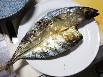 トビウオもらった Parablo