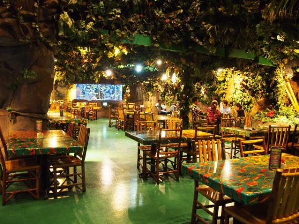 千葉 ジャングルの中のレストラン レインフォレストカフェ ｂｑ B Spot Explorer Powered By ライブドアブログ