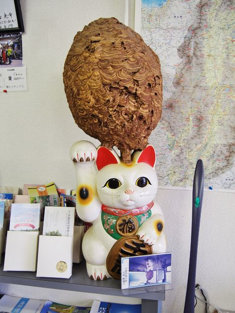 長野】 日本唯一!!ハチの芸術館 蜂天国 : BQ ～B-spot Explorer