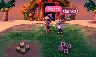 とびだせどうぶつの森 日記 国際交流したー 孤独のブログ