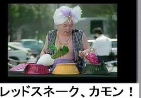 スネークショウの箱の中 猪狩千重子 ショパン猪狩 東京コミックショウ b3c6567faedfa31b47997a30dd9cb3