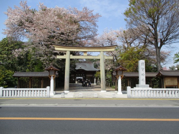 思川を歩く開運のサクラめぐり : 駅からハイキングに行ってきました♪