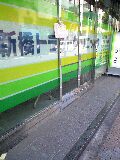 プラセンタ日記 新橋トラストクリニック 癒され上手