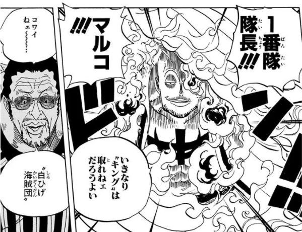ワンピース 白ひげ海賊団 一番隊隊長マルコの能力wwwwww 最強ジャンプ放送局 ワンピース 白ひげ海賊団 一番隊隊長マルコの能力wwwwww 最強ジャンプ放送局