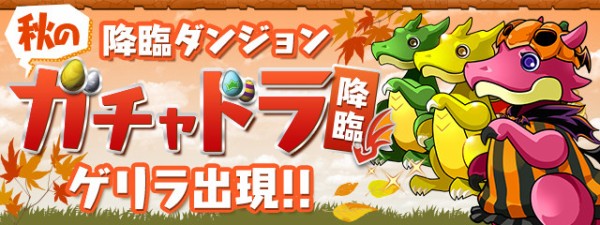 パズドラ 新キャラ キングたまドラ の使い道 ゴミすぎワロタwwwwwwwwwww 評価 パズドラ速報 パズル ドラゴンズまとめ