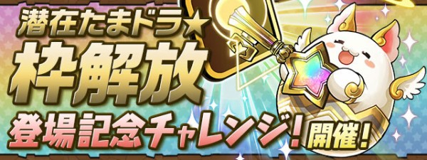 パズドラ 枠解放たまドラ 最強の使い方まとめ 強すぎワロタwwwww 攻略まとめ パズドラ速報 パズル ドラゴンズまとめ