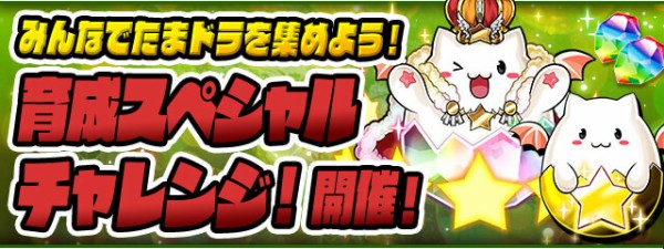 パズドラ 育成スペシャルチャレンジ キングたまドラの出現率wwwwwwww パズドラ速報 パズル ドラゴンズまとめ