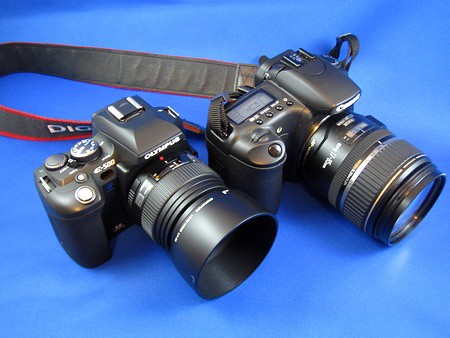 OLYMPUS 「E-500」 & 「ZUIKO DIGITAL ED 50mm F2.0 Macro」を購入
