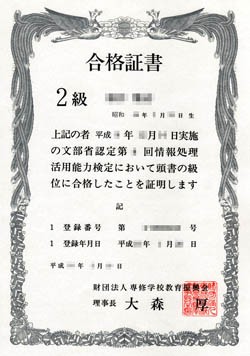 【中古】 情報処理活用能力検定情報活用試験１級問題集 文部科学省後援 ２００７年度版/実教出版/専修学校教育振興会 情報処理活用能力検定情報活用試験1級問題集 文部科学省後援