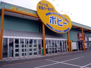 札幌市東区 ペットショップ ボビー 札幌店 リサイクルパソコンビーグル 代表ブログ