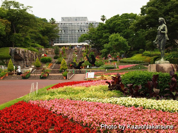 あじさい七変化 In 広島市植物公園 ひろしま散歩