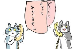 どうして 電話 猫 【随時画像追加】現場猫・電話猫とは？元ネタや現場猫の画像まとめ