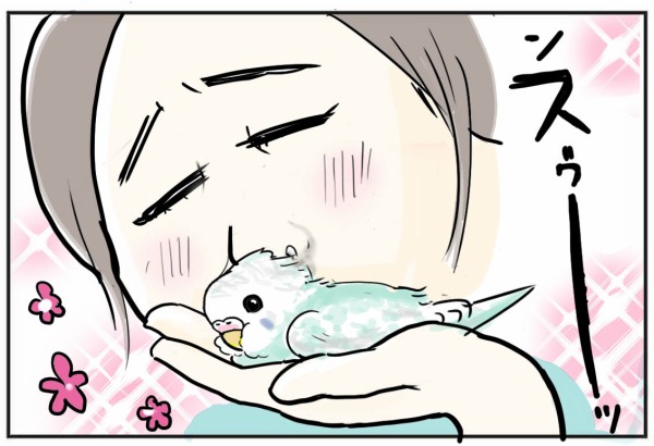 鳥といえばコレなんですよ…&名前をつけようの巻♪ : たまご絵日記 ～2