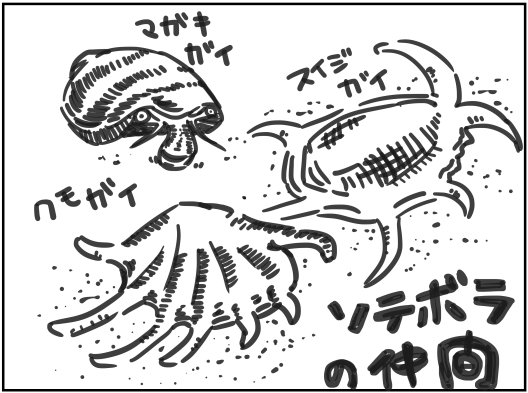 マガキガイによる底砂コケ取り 準備 こぶしめのアクアリウム雑記