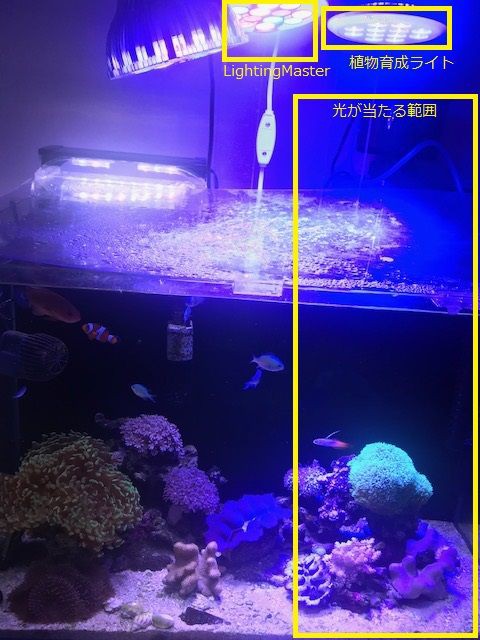 製品レビュー 植物育成ライト 12個青色led こぶしめのアクアリウム雑記