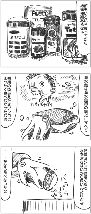 いろいろな魚用の餌を海水魚に試す : こぶしめのアクアリウム雑記