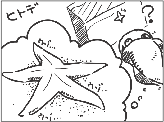 ４本腕のヒトデ こぶしめのアクアリウム雑記