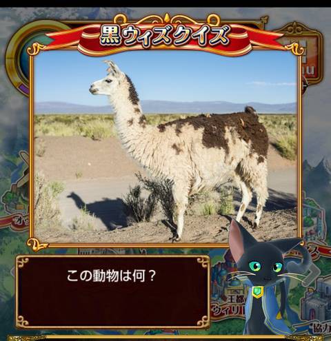 黒ウィズクイズ この動物は何 ぷちぷら なウィズ日記 ฅ W ฅ ﾆｬｰ