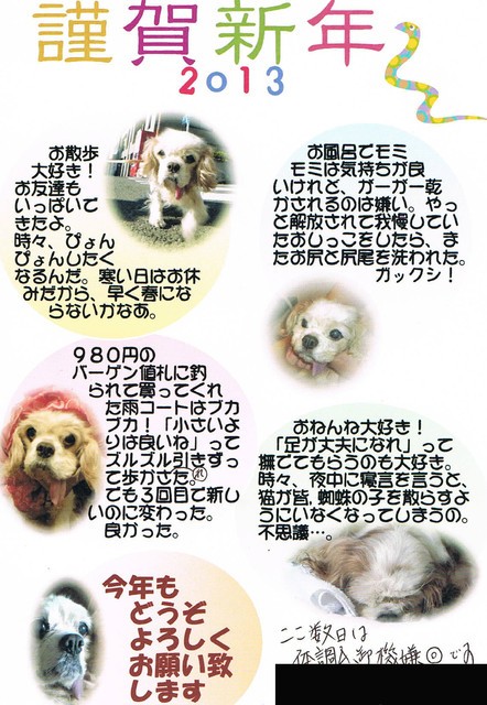 恐怖の年賀状 Pet Salon Mignon Diary