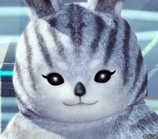 疑問2】もうすぐクレスのアップグレード来るが、クレスATって