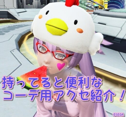 Pso2 キャラクリがはかどる一つは持っておきたい便利なアクセ ぷそファン Pso2ngs