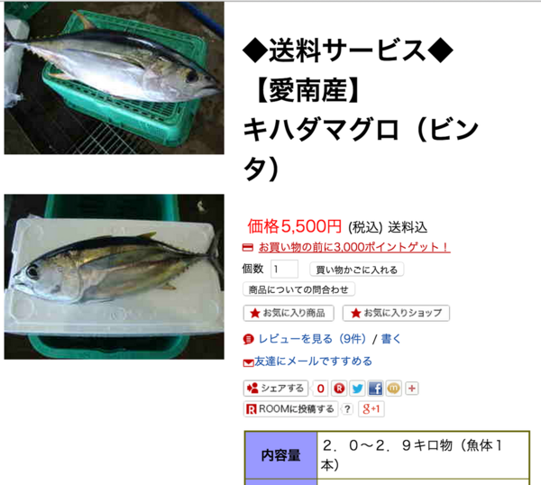 フィリピンのマグロの首都 ジェネラル サントスにマグロ釣りに行った結果その２ きづきくみたて日記