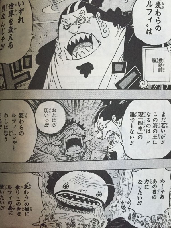 ワンピース巻 ピカえもんの遊戯王blog