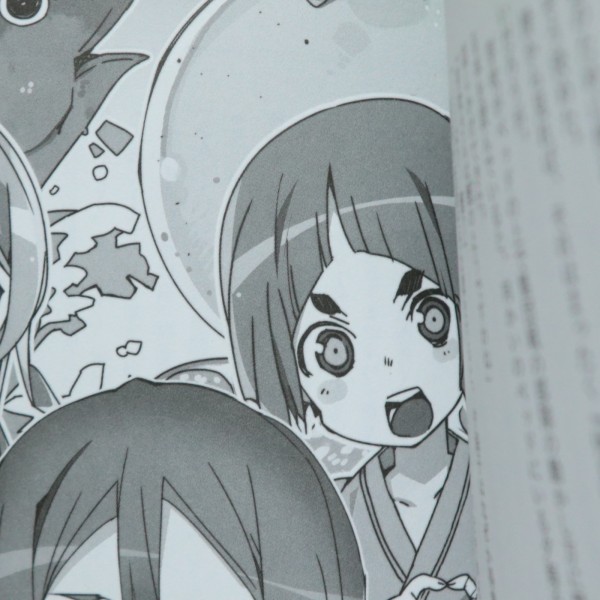 ゆゆゆ その101 楠芽吹は勇者である 書き下ろし番外編 勇者の章3 多少少多日記