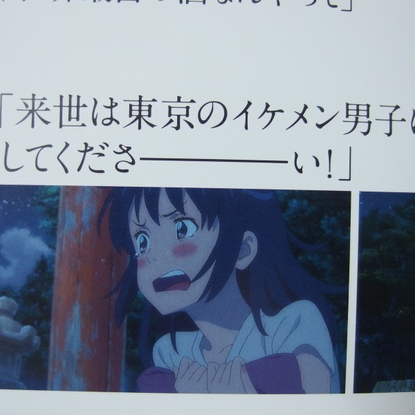 超絶ネタバレ注意 君の名は その11 感想文前半 多少少多日記