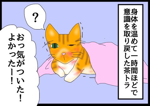 今年の新作から定番まで！ : 茶トラ編4】衰弱 猫の手貸して ライブドアブログ by Powered イラスト