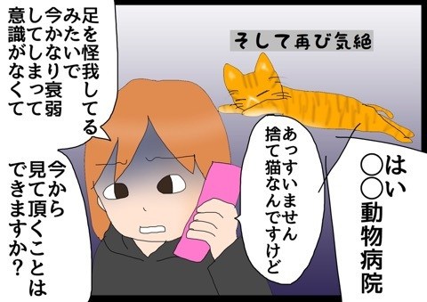 茶トラ編4】衰弱 : 猫の手貸して Powered by ライブドアブログ