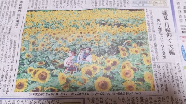 21年8月 矢巾町にある 煙山ひまわりパーク が 想像以上にヒマワリが咲いていた という写真付き感想文 ぴんくぴっぐ備忘録 岩手盛岡生活ブログ