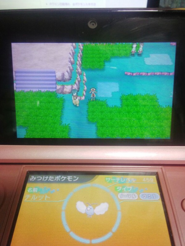 チルット 国際孵化 サーチ連鎖 114番道路 ポケモンと生きる