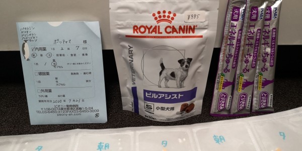 犬の嘔吐 胃炎で動物病院へ トイプーポッチャマ