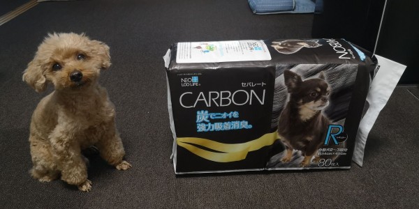 トイプードルのトイレシートを色々試す トイプーポッチャマ