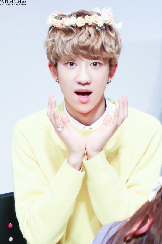 SEVENTEEN (세븐틴)/THE8(ディエイト) 画像3 : ぴよぴよにっき