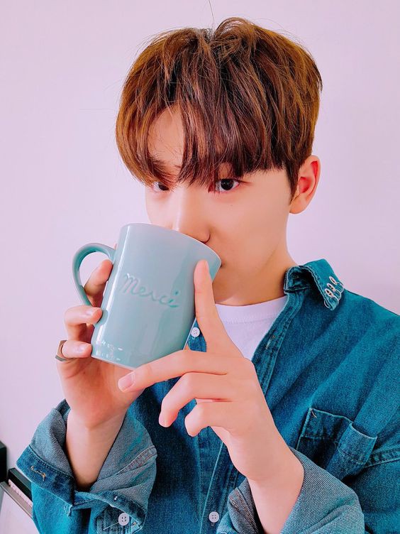 SEVENTEEN (세븐틴)/DINO(ディノ) profile : ぴよぴよにっき