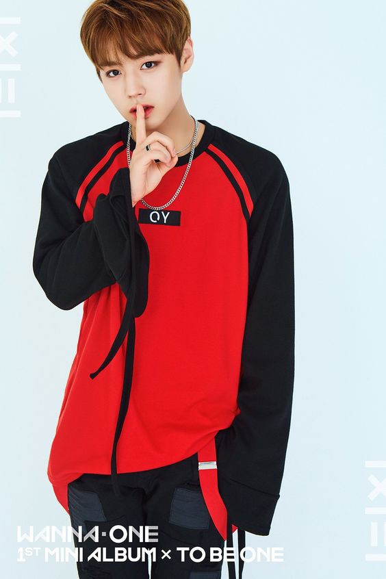 WannaOne（ワノワン）/パク・ジフン 박지훈 画像1 : ぴよぴよにっき