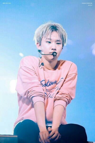 SEVENTEEN ホシ ④ SEVENTEEN (세븐틴)/HOSHI(ホシ) profile : ぴよぴよにっき