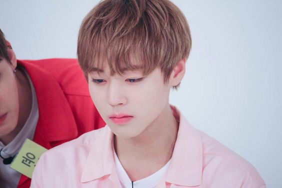 WannaOne（ワノワン）/パク・ジフン 박지훈 画像4 : ぴよぴよにっき