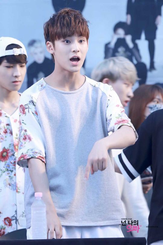 SEVENTEEN (세븐틴)ミンギュ/MINGYU 画像3 : ぴよぴよにっき